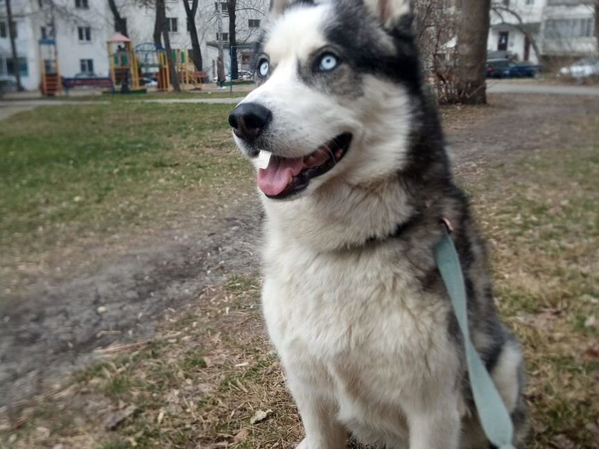 Лучшее предложение в вашей жизни