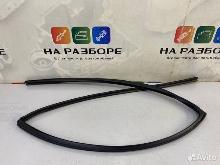 Уплотнительная резинка стекла двери задняя правая