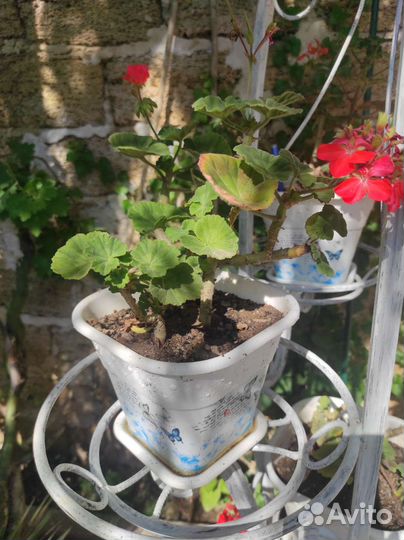 Подставка для цветов напольная кованая