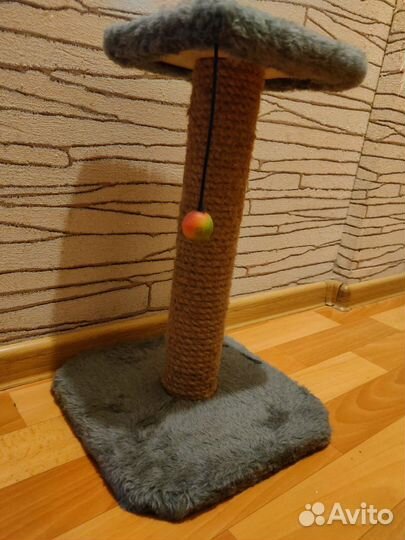 Когтеточка