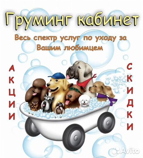 Груминг собак
