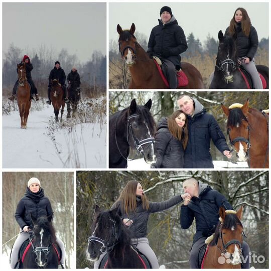 Фотограф, фотосессии с лошадьми, фотопрогулки