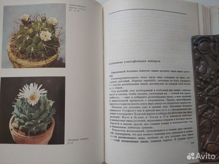 Книга о кактусах. А. Урбан. Колючее чудо