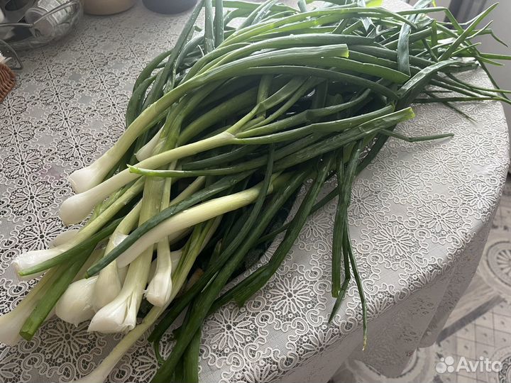 Лук зеленый, замороженный. Калина с сахаром 1/1