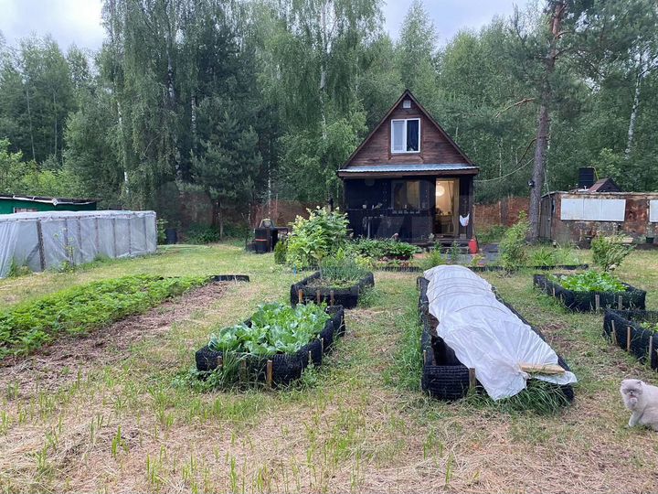 Участок 13 сот. (СНТ, ДНП)