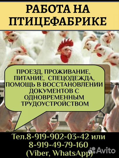 Упаковщица, Грузчик/ вахта с проживанием