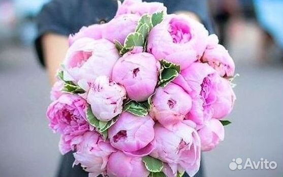 Пионы Цветы Доставка