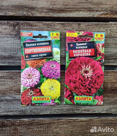 Семена Циннии