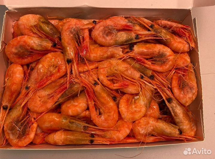 Креветка северная. Крупные. Свежие