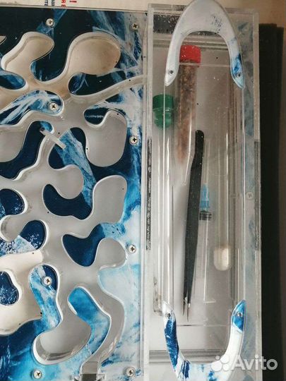 Муравьиная ферма (формикарий)