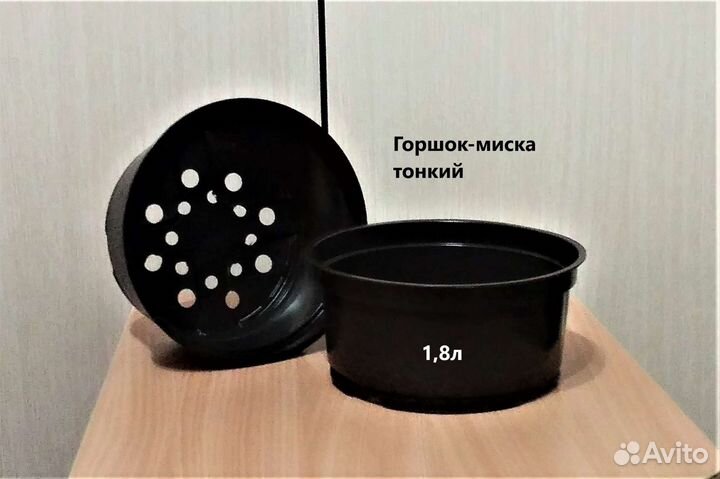 Горшки для рассады и цветов. Цены в описании