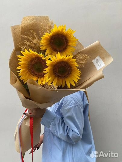 Подсолнухи цветы