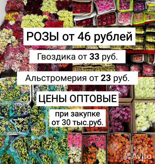 Цветы оптом - срезка оптом для цветочных магазинов