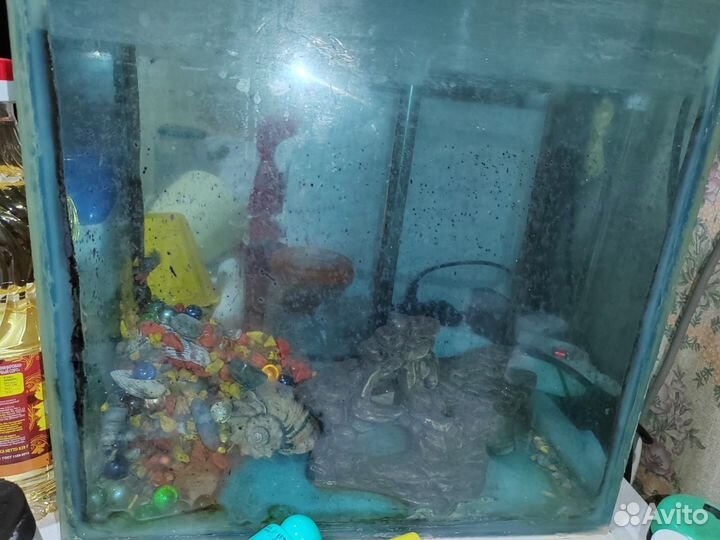 Аквариум