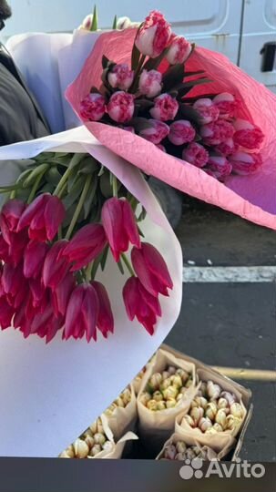 Тюльпаны сегодня 8 мариа