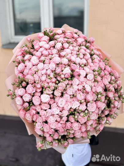 101 кустовая роза/ 101 пионовидная роза