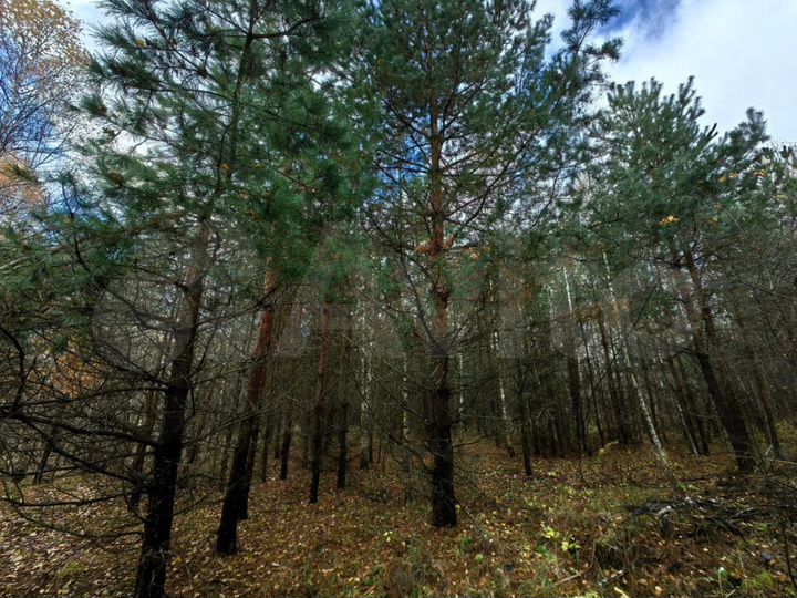 Участок 10 сот. (ИЖС)