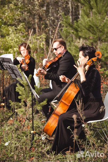 Живая музыка скрипка квартетмузыкальное оформление