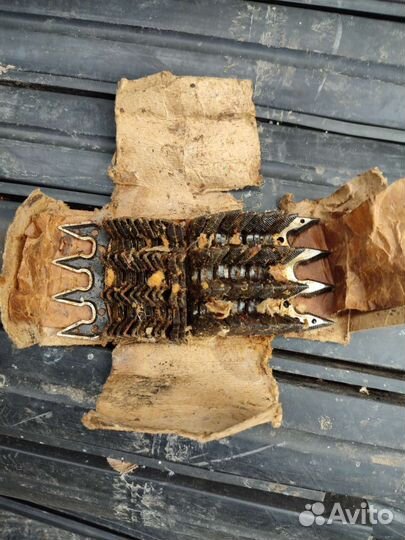 Гребенка для стрижки овец