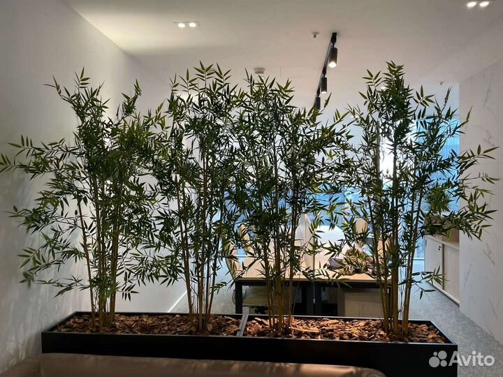 Кашпо-перегородка в офис