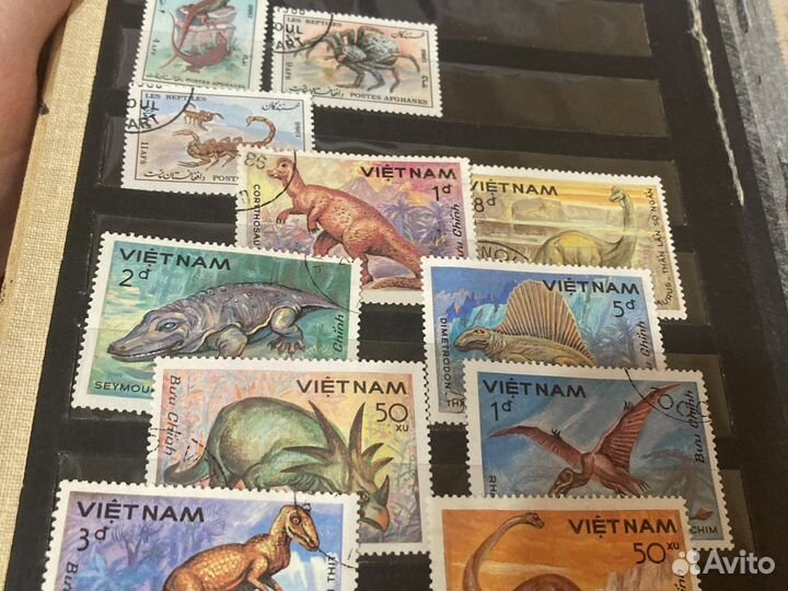 Альбом и марки