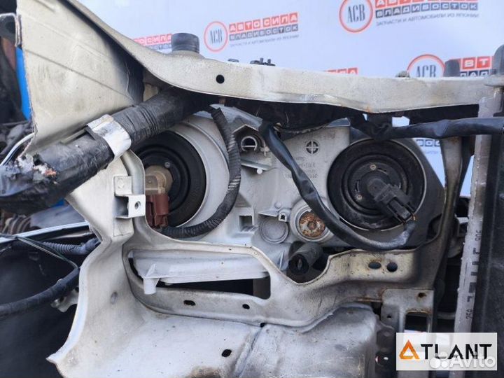 Nose cut toyota gaia