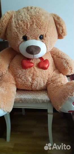 Плюшевый медведь