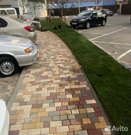 Рулонный газон, посевной газон