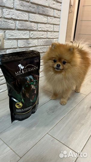 Сухой корм для собак Мистер Гурман