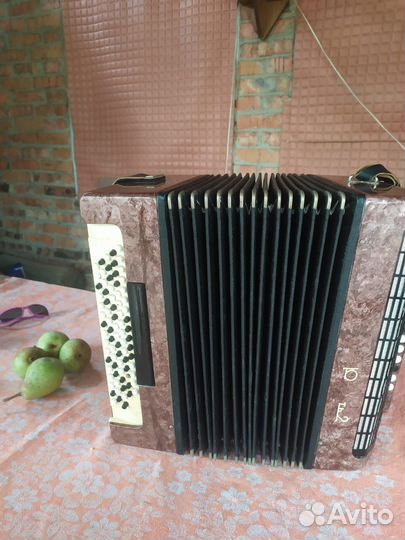 Баян юность-2