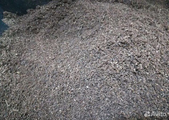 Чернозем. Перегной