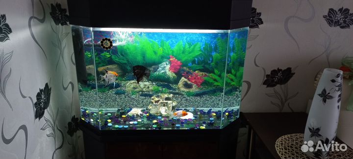 Аквариум