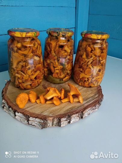 Маринованные маслята