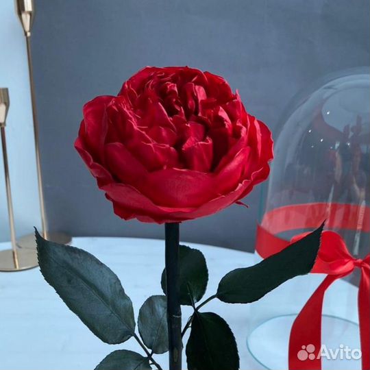 Роза в колбе с подсветкой