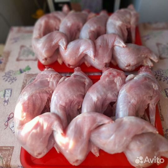 Мясо кролика