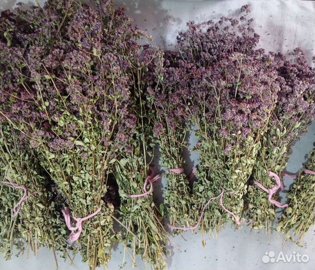 Душица сушеная