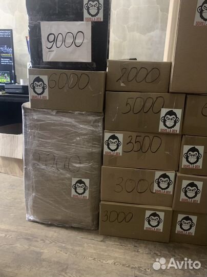 Master box Mystery Box Master Box