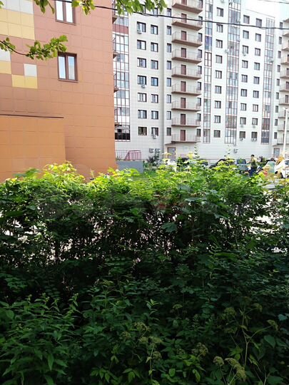 1-к. квартира, 30,7 м², 1/3 эт.