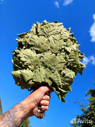 Веники для бани 20 шт