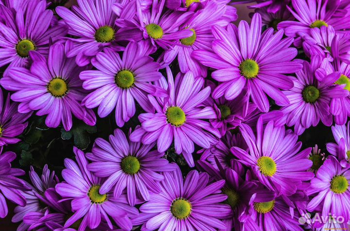 Ночной продавец(без опыта)