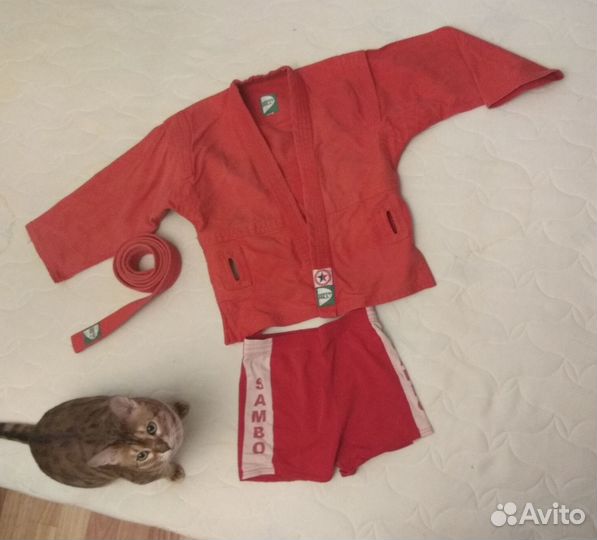 Форма для самбо детская, 130, Green Hill