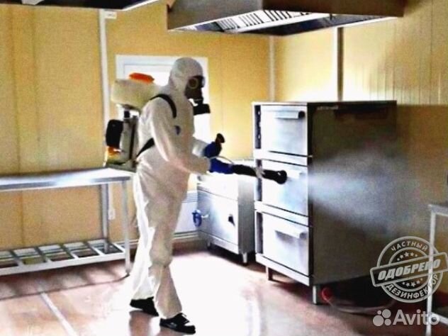 Уничтожение клопов тараканов дезинфекция плесени