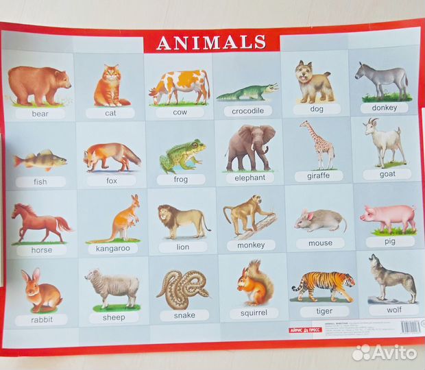 Плакаты по английскому языку