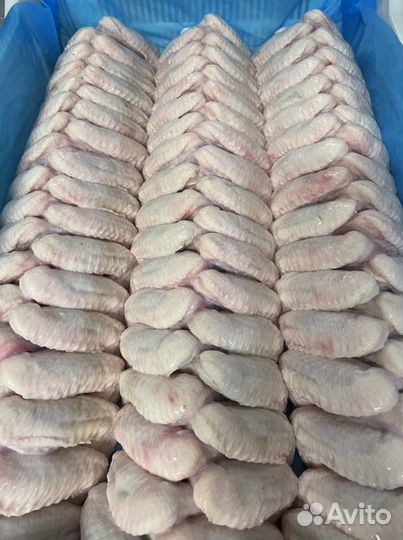 Куриные крылья 3 фаланги охлажденные
