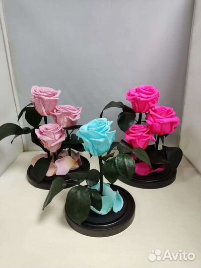 Розы оптом
