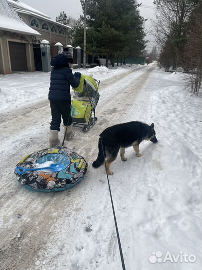 Сани коляска детские бу