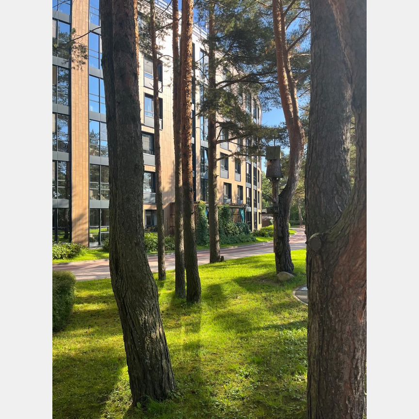 1-к. апартаменты, 48,5 м², 5/6 эт.