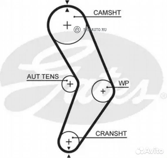 Gates 5662XS Ремень грм renault (96x17.3)