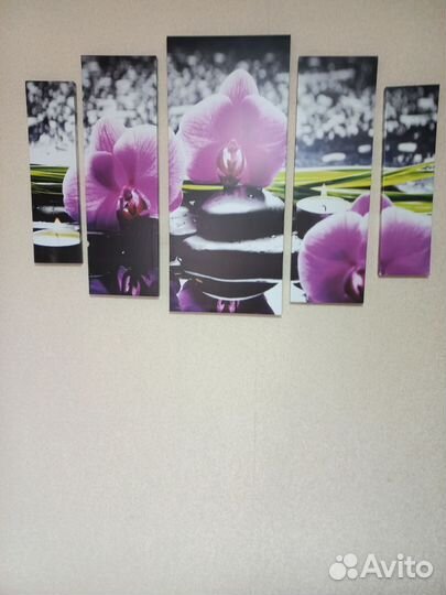 Орхидея сакура