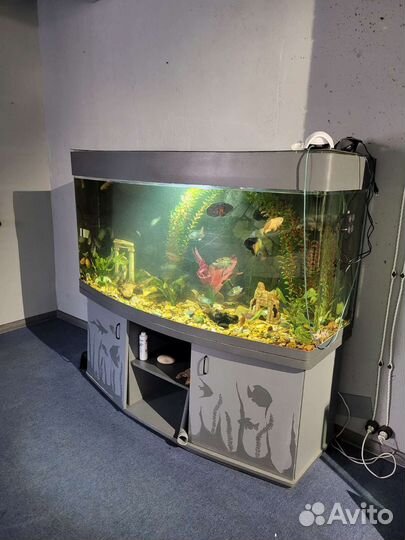 Украшение для аквариума